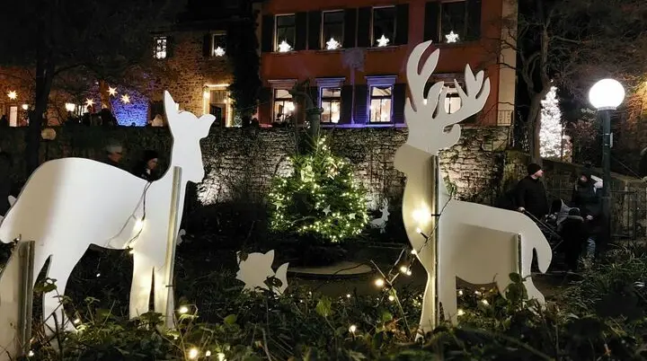 © ccbyTourist-Info-Deidesheim