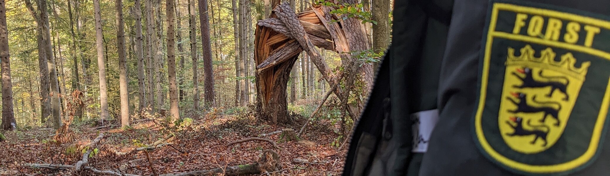 Beispiele im Wald | © Lars Fersterra