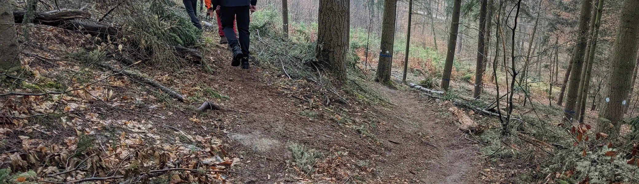 Trailbegehung Berker Wand 2022 | © Lars Fersterra