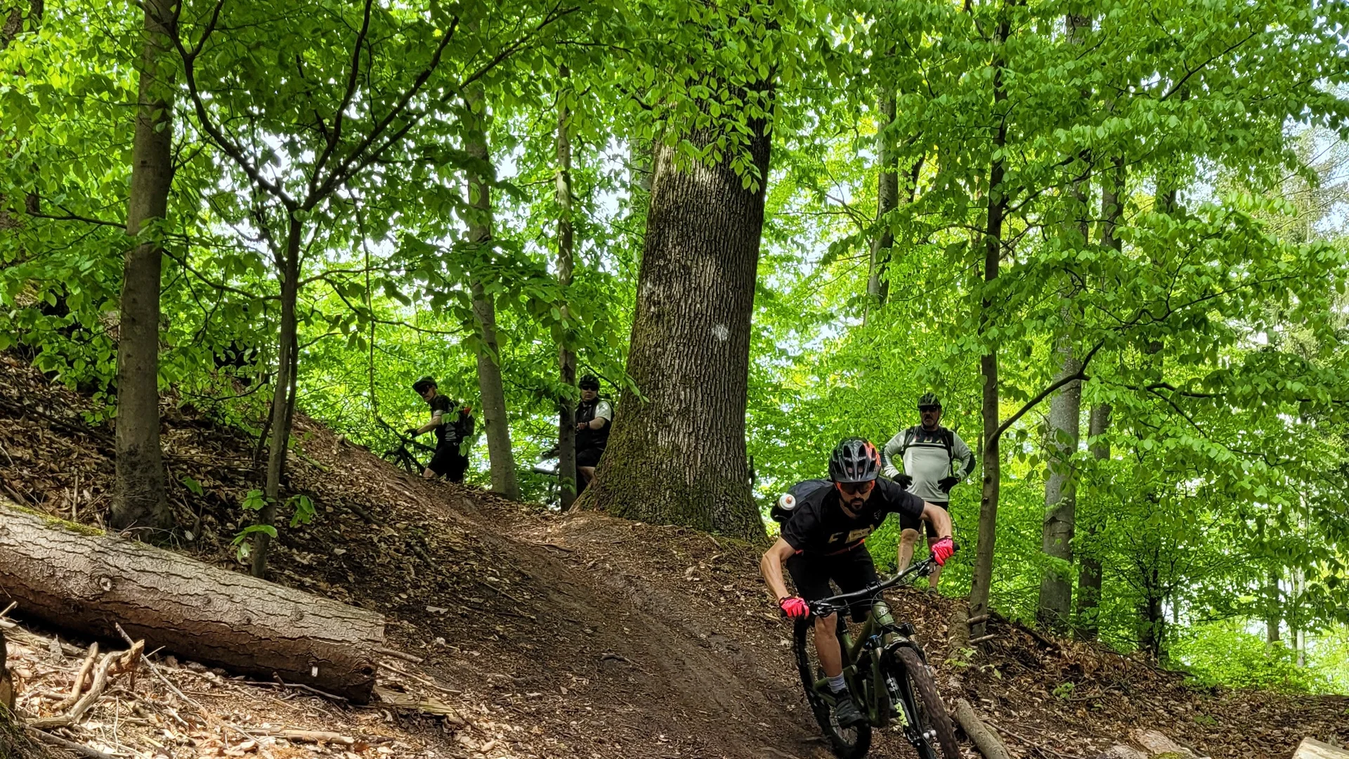 © Stefan Schnötzinger