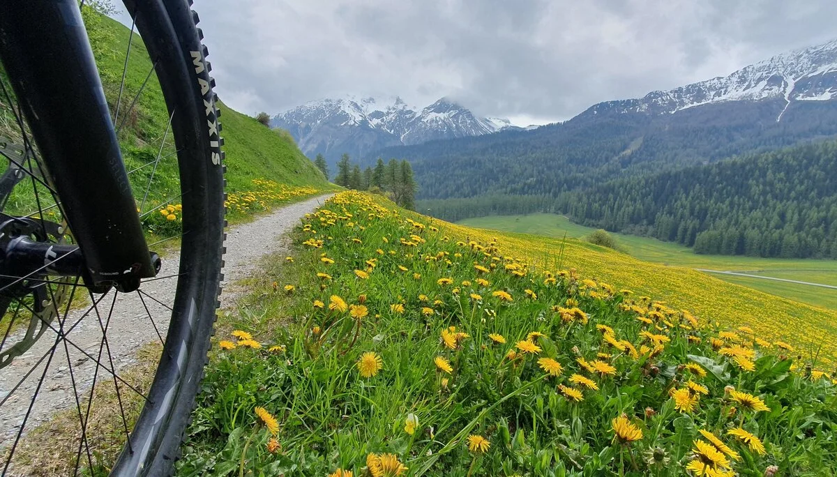 © Stefan Schnötzinger