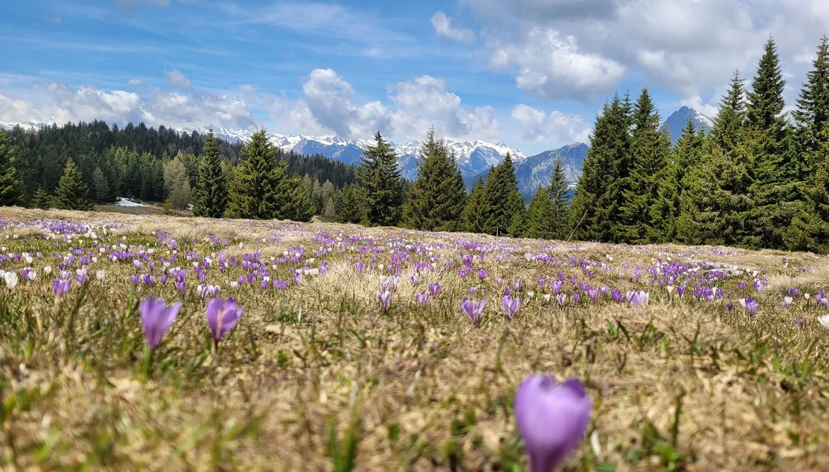 © Stefan Schnötzinger