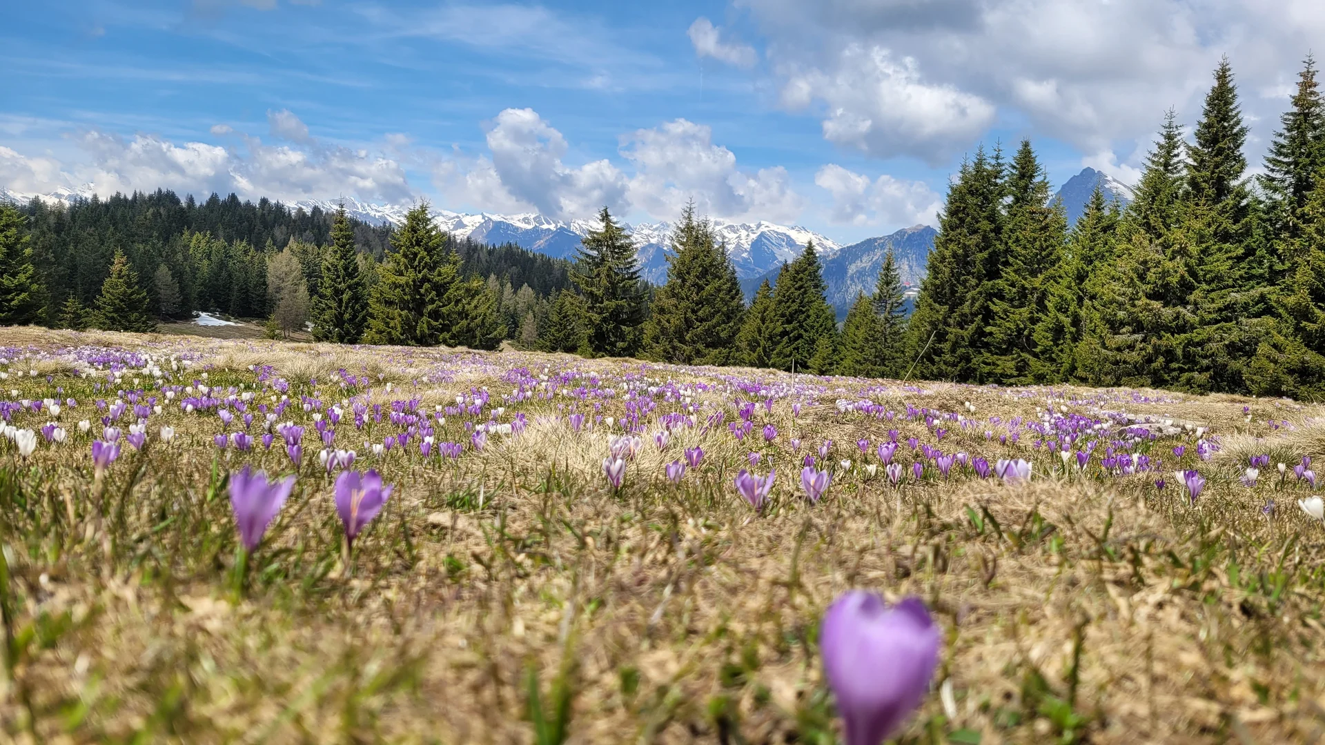 © Stefan Schnötzinger