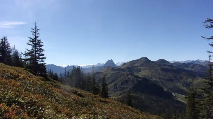 Alpenrosenausfahrt | © Hans Fiddes