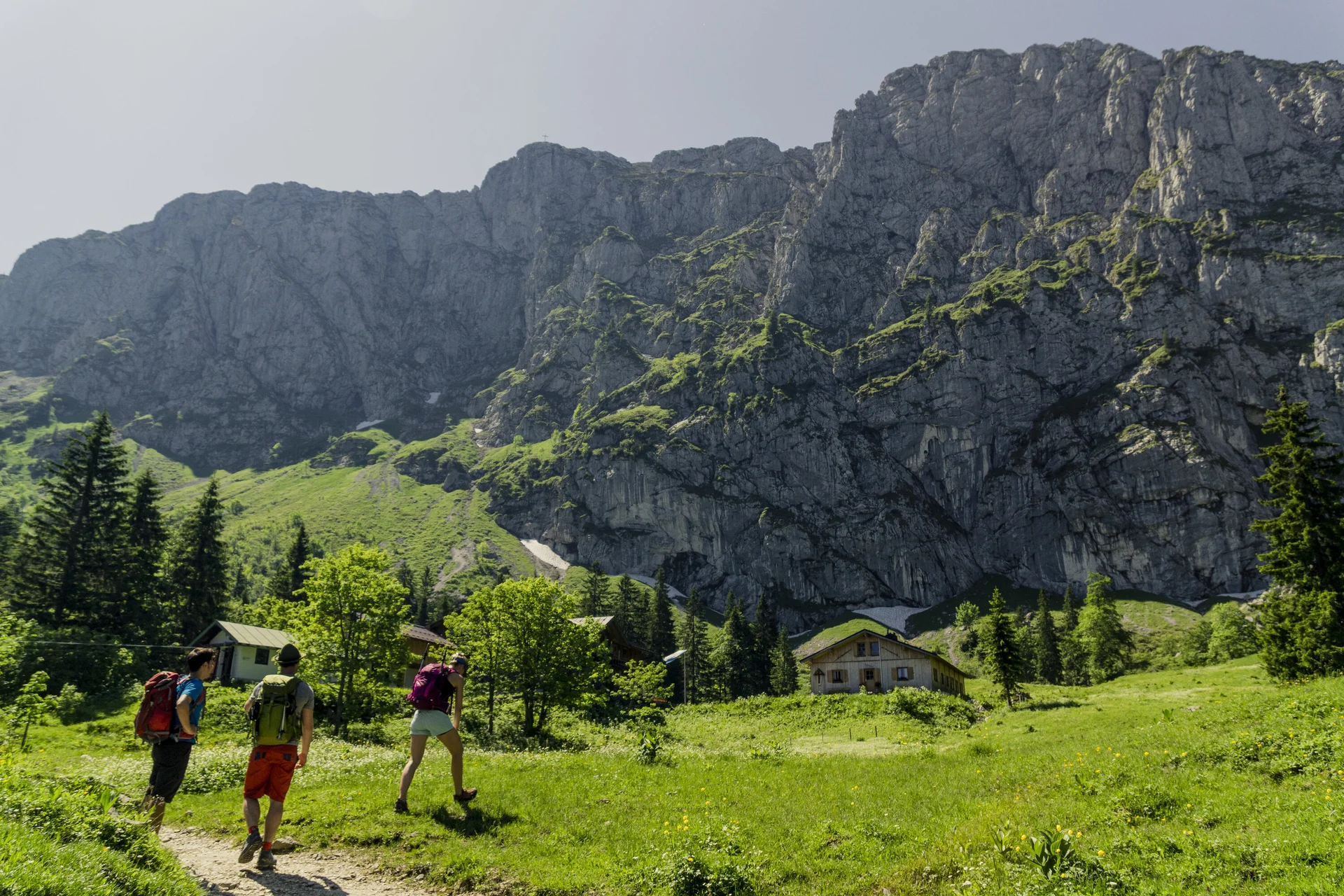 Wandern in den Chiemgauer Alpen | © DAV/Hans Herbig Drei Wanderer auf den grünen Berghängen der Chiemgauer Alpen | © DAV/Hans Herbig